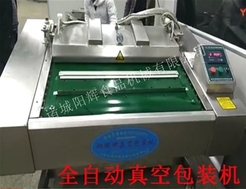 安丘全自動真空包裝機(jī)